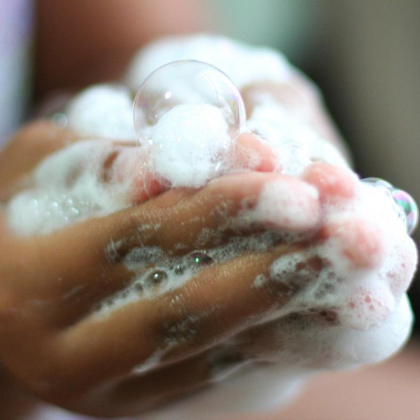 eliminate water odors bradenton